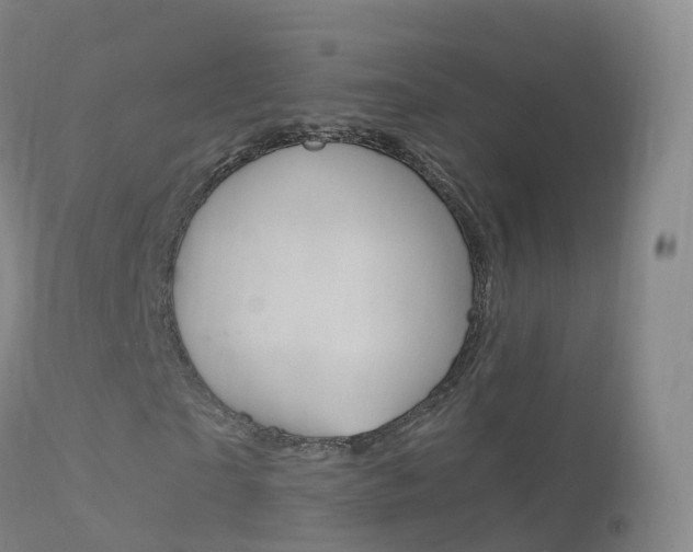 X0000114680865200910211030