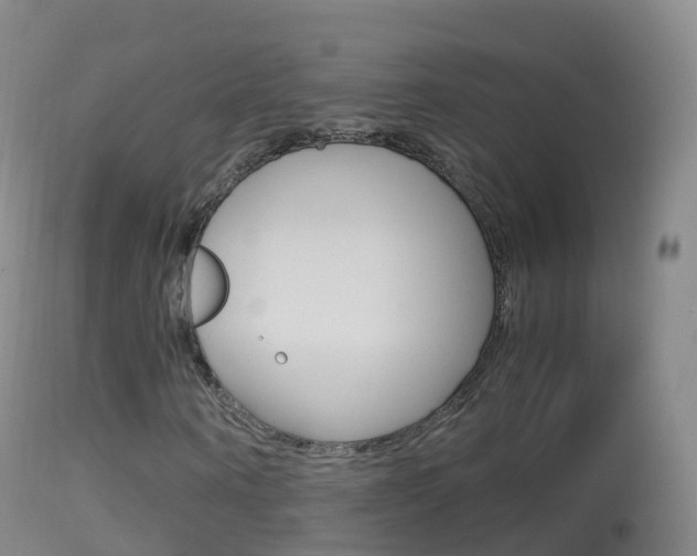 X0000114680866200910211029