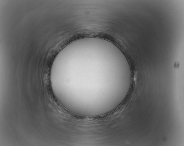 X0000114680867200910211029