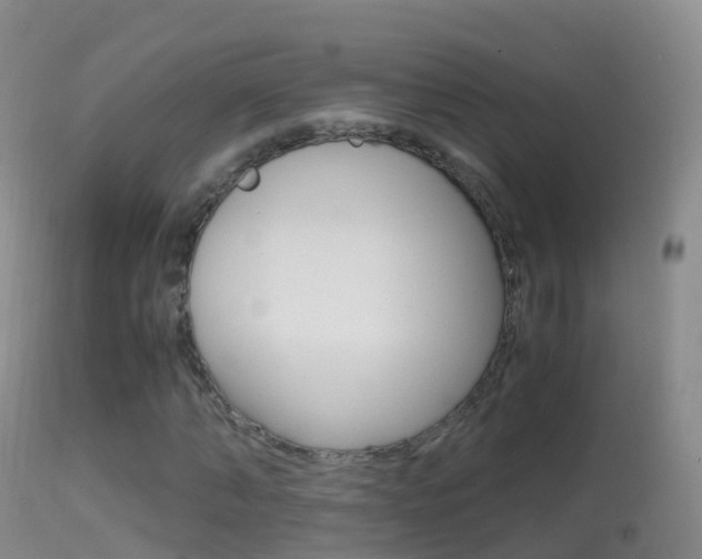 X0000114680870200910211029
