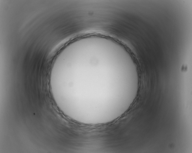 X0000114680872200910211029