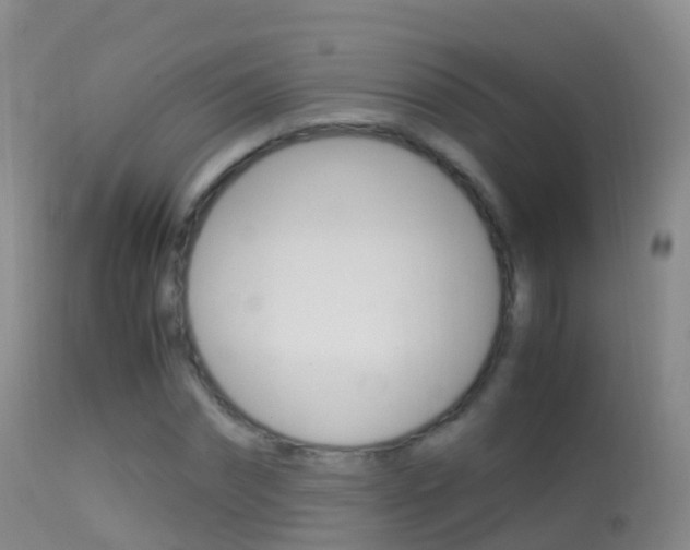 X0000114680874200910211029
