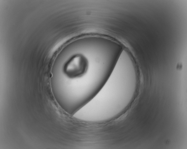 X0000114680877200910211029