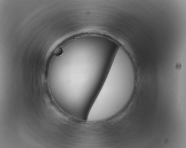 X0000114680880200910211029