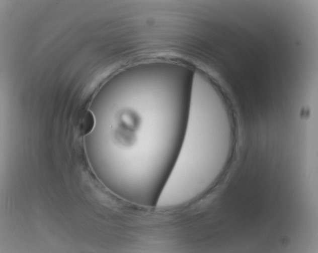 X0000114680881200910211029