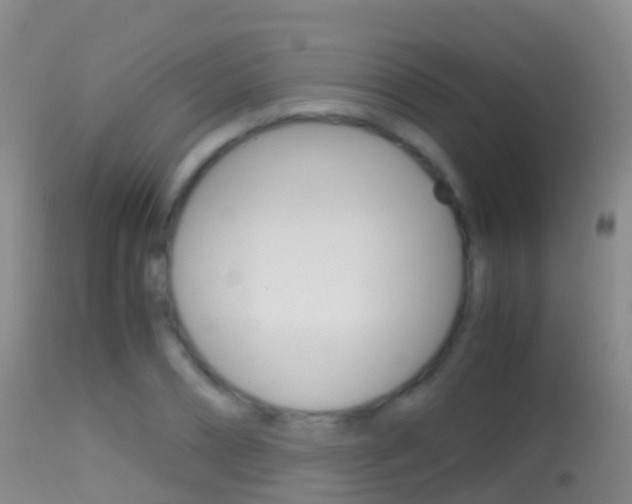 X0000114680882200910211029