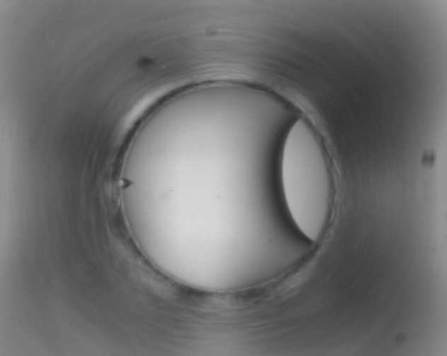 X0000114680883200910211029