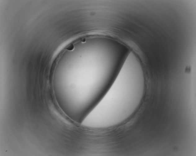 X0000114680884200910211029
