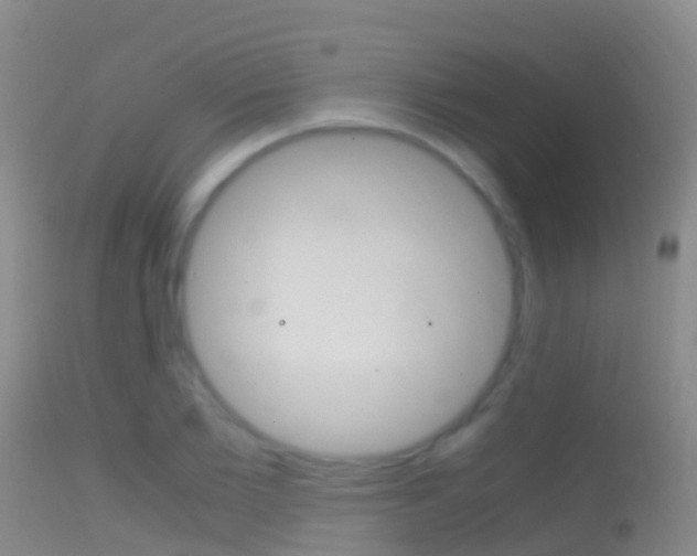 X0000114680885200910211029
