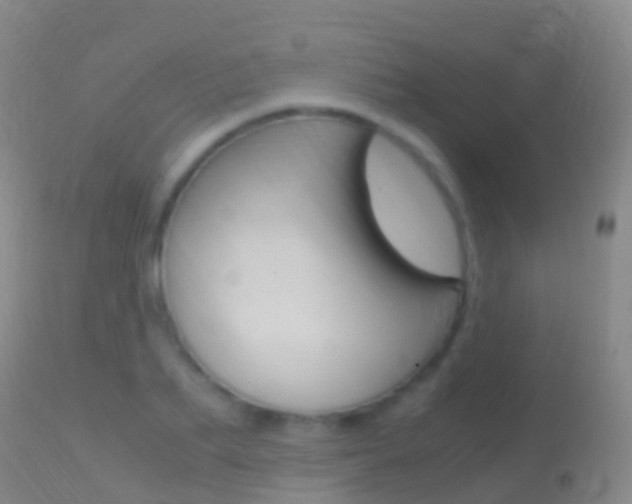 X0000114680887200910211029
