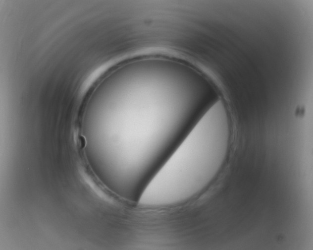 X0000114680888200910211029