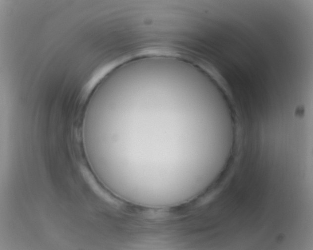 X0000114680893200910211029