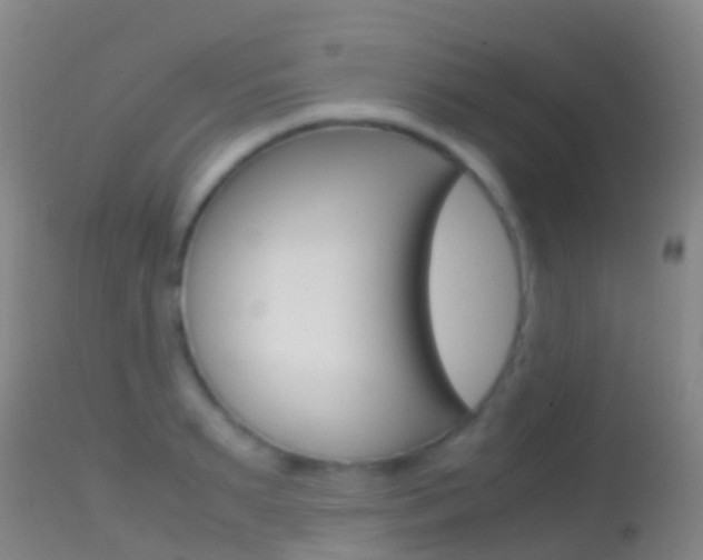 X0000114680895200910211029