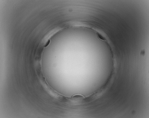 X0000114680897200910211029