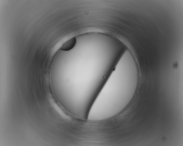 X0000114680898200910211029