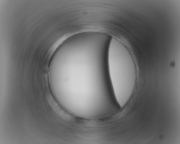 X0000114680899200910211029