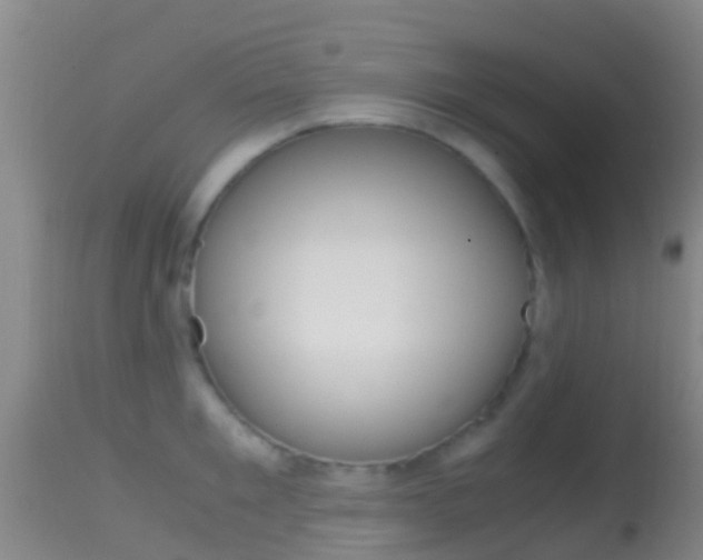 X0000114680901200910211029