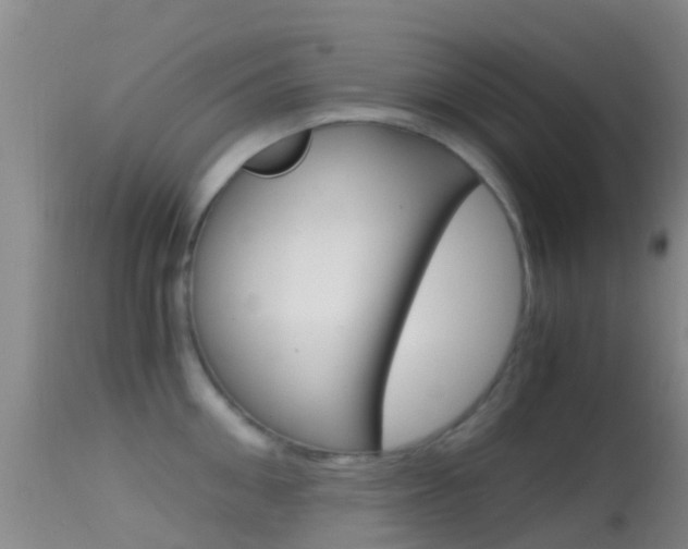X0000114680906200910211029