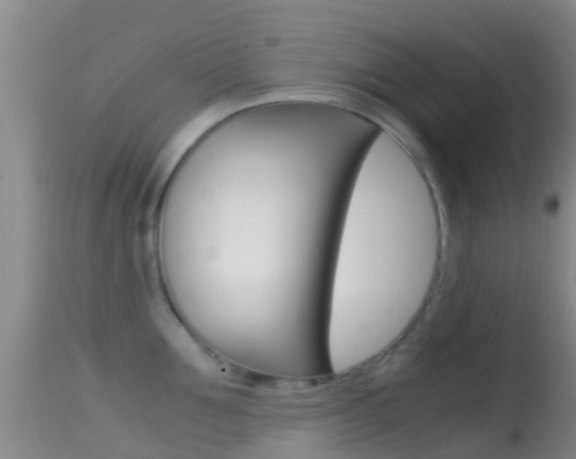 X0000114680907200910211029