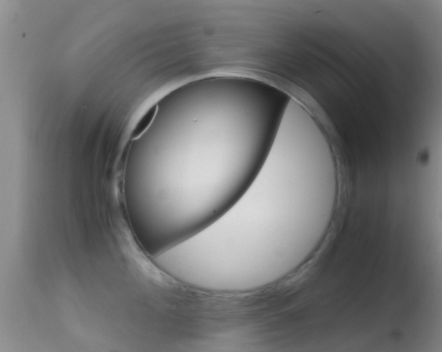 X0000114680908200910211029