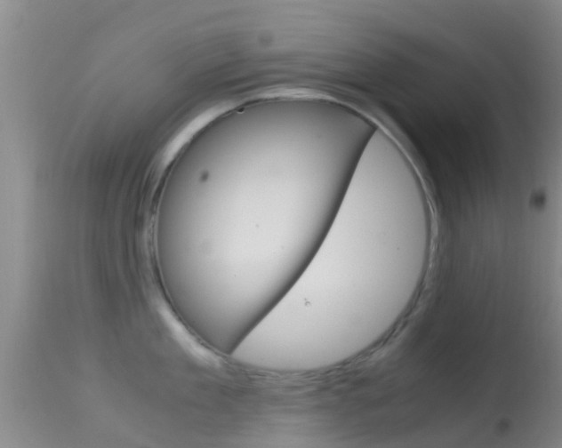 X0000114680909200910211029