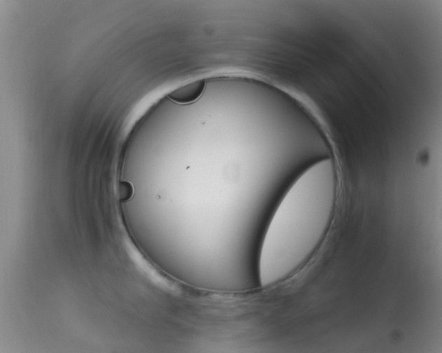 X0000114680910200910211029