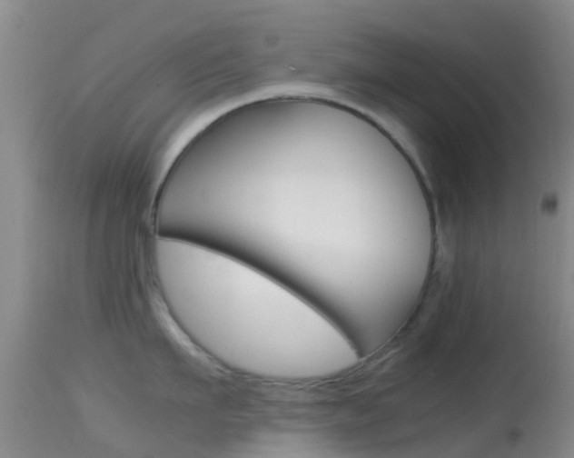 X0000114680911200910211029