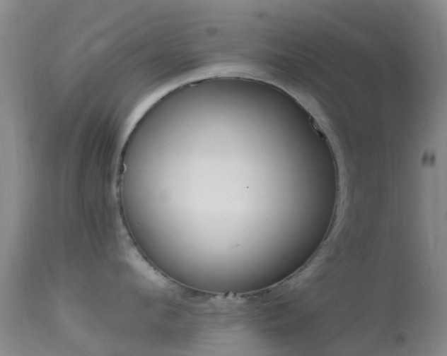 X0000114680912200910211029