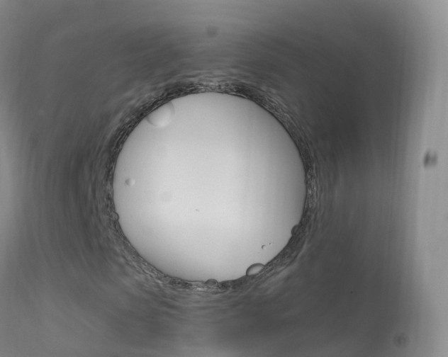 X0000114680913200910211028
