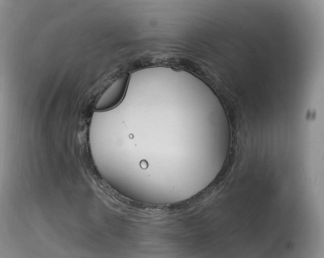 X0000114680914200910211028