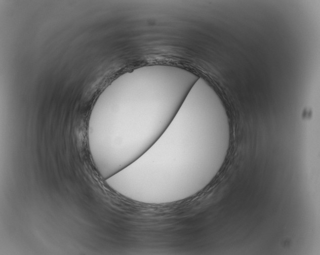 X0000114680915200910211028