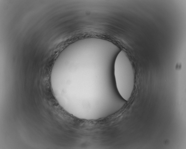 X0000114680917200910211028