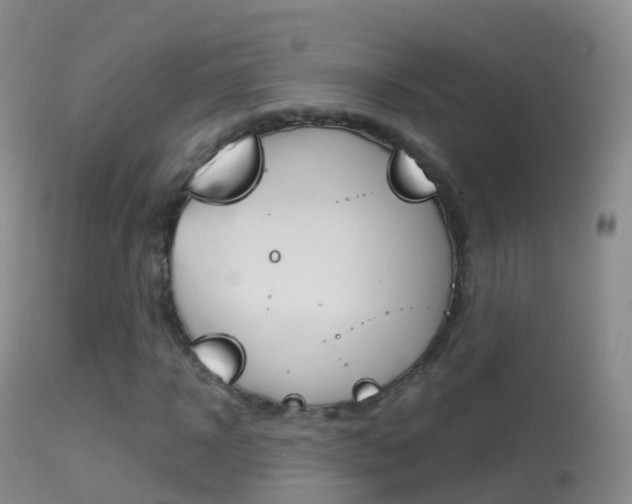 X0000114680918200910211028