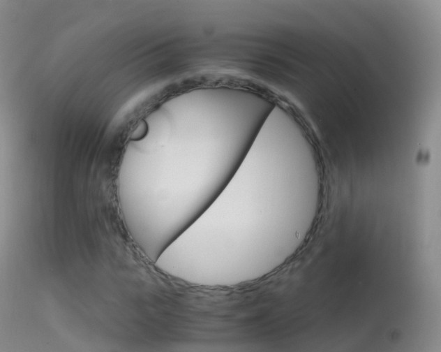 X0000114680919200910211028
