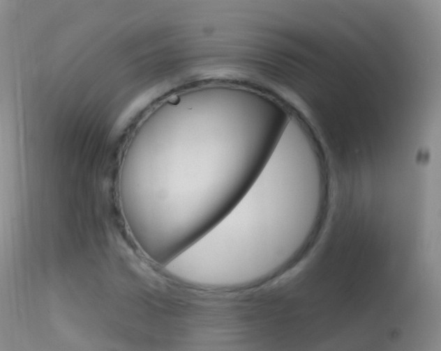 X0000114680922200910211028