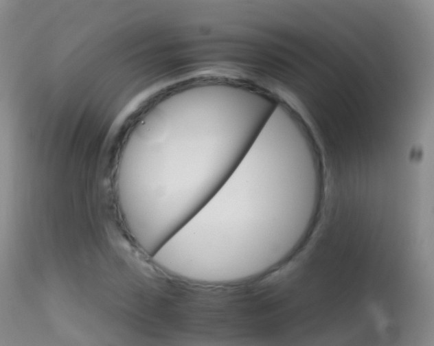 X0000114680923200910211028