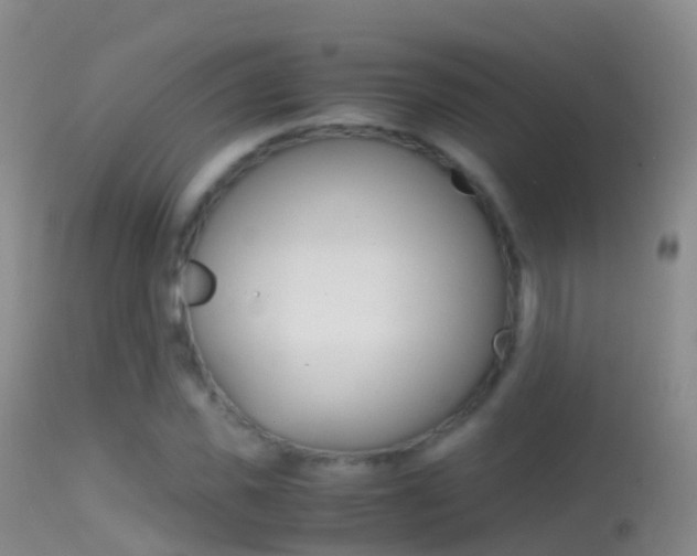 X0000114680925200910211028