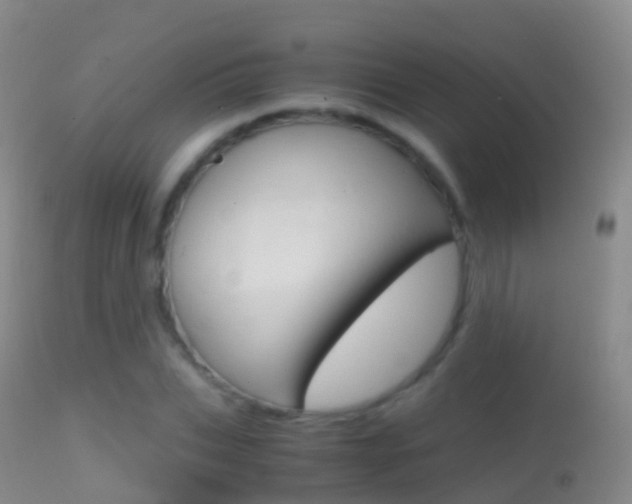 X0000114680927200910211028