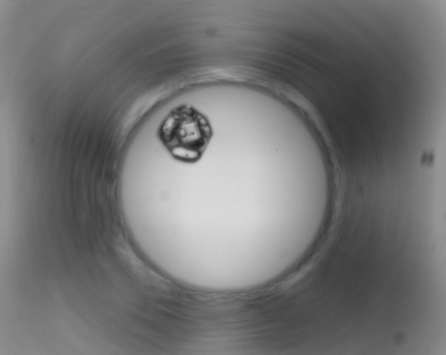 X0000114680930200910211028