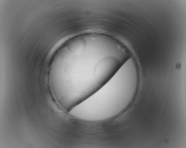 X0000114680931200910211028