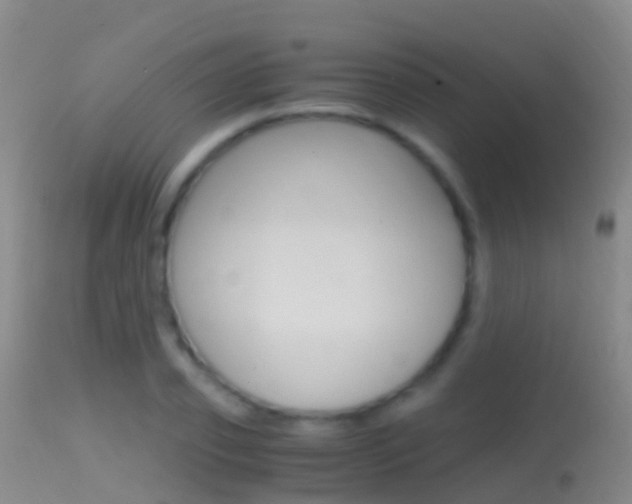 X0000114680933200910211028