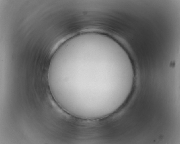 X0000114680937200910211029