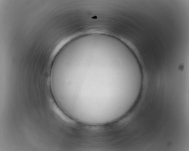 X0000114680941200910211029