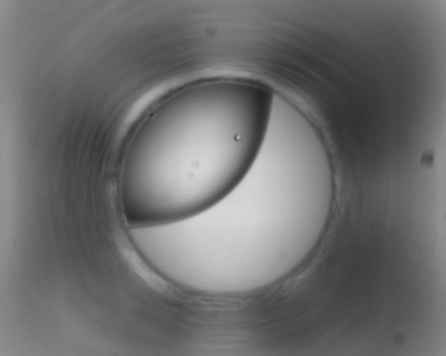 X0000114680942200910211029