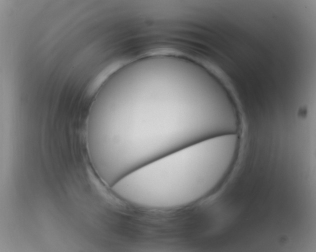 X0000114680945200910211029