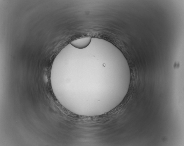 X0000114680962200910211028