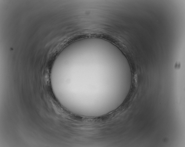 X0000114680963200910211028