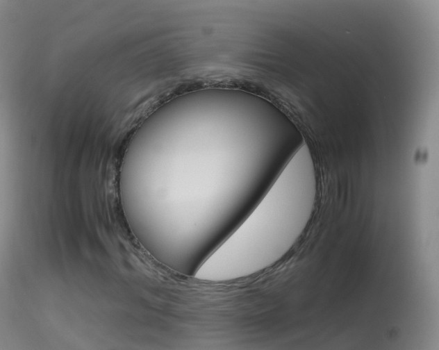 X0000114680964200910211028