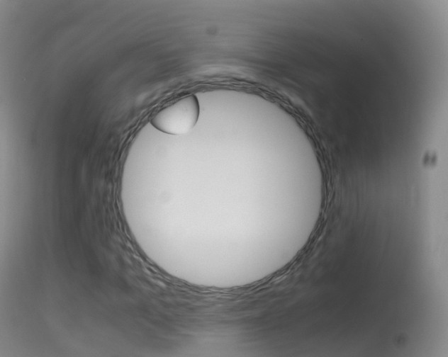 X0000114680965200910211028