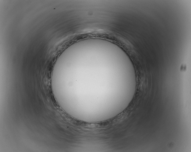 X0000114680966200910211028